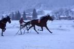 3 Königsrennen in Kitzbühel - Foto: URBI Bild 32