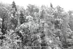 Tiere und Schnee, Schnee, Schnee - Fotos: giovanni rosso Bild 22