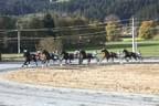 Pferderennen Kirchberg Bild 29